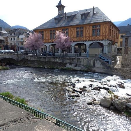 Appartement 2 A 4 Personnes Le Pyreneen A Arreau Carrefour Des Activites De Montagne Exterior foto