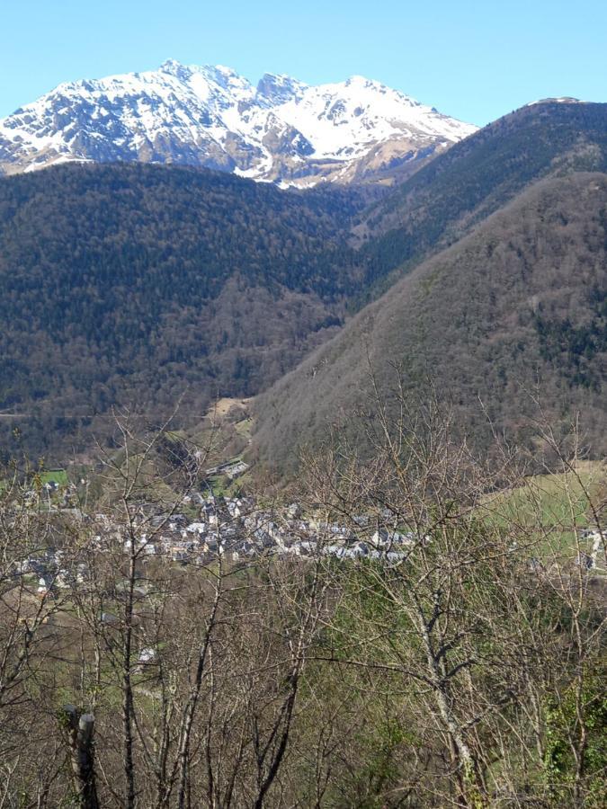 Appartement 2 A 4 Personnes Le Pyreneen A Arreau Carrefour Des Activites De Montagne Exterior foto